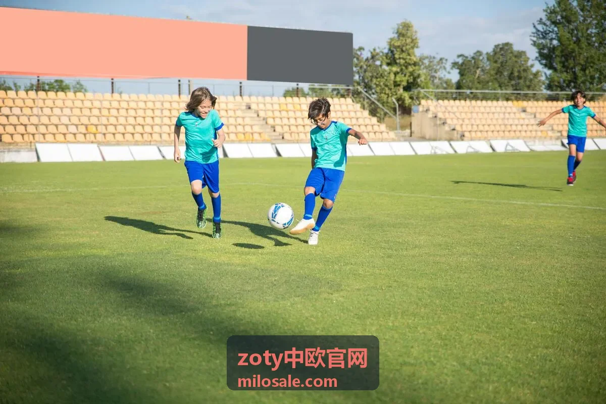 zoty中欧官网篮球数据专题
